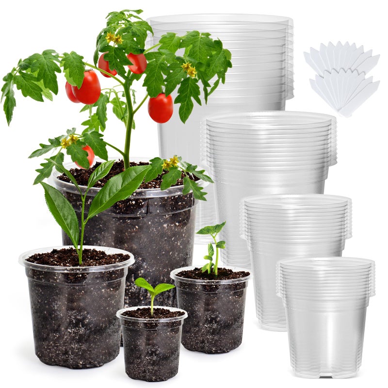 Bluepro 36 Packs 6.7/5/4/3.5 Inch Reinforced Clear Nursery Pots with Drainage Hole  Transparent Variety Pack Plastic Plant Pot Seedling Planter Seed Starter Flower - Image 1